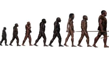 La historia de la evolución humana se está volviendo más complicada que esta imagen.