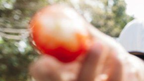 El estudio investigó el comportamiento de los bebés durante la hora de la comida.