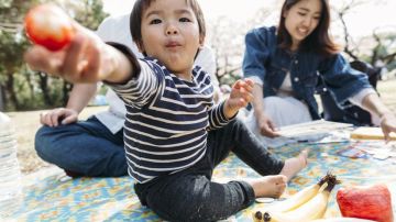 El estudio investigó el comportamiento de los bebés durante la hora de la comida.