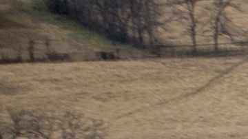 Fearsome four-ship: 188th Warthogs train at Razorback Range