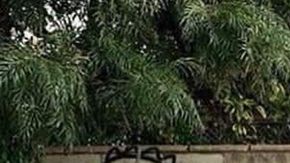 Mensaje de venganza de una esposa traicionada.