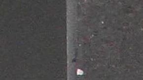 Humberto Zurita y Christian Bach.