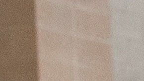 Los asistentes al caucus de Nevada se registran antes de ir a su ubicación asignada para emitir sus votos.