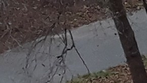 Escena del crimen en diciembre