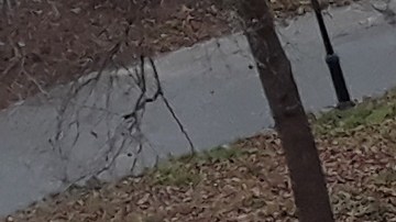 Escena del crimen en diciembre