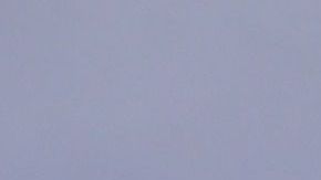 Trump y Pence participan en el informe sobre el coronavirus en EEUU.