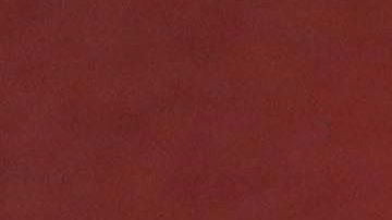 El doctor se contagió 2 días después de haber sido designado director del hospital.