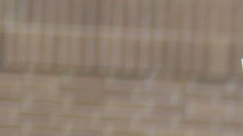 Las últimas encuestas señalan a Sanders como ganador en Iowa y Nuevo Hampshire.