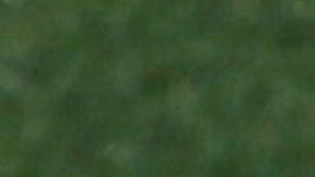 El defensor merengue contrató a dos tatuadores para que lo atendieran en su casa.