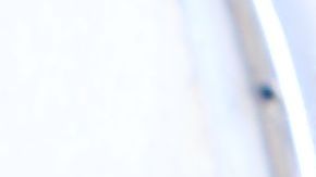 CBP hace un control exahustivo de todos los productos agrícolas que entran a EEUU.