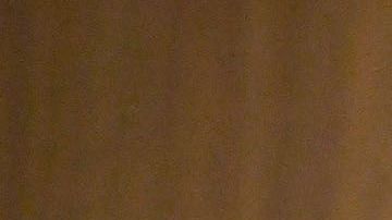 Wolf asegura que no hay otros países tratando de intervenir en la democracia de EEUU.