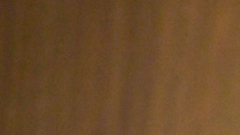 Wolf asegura que no hay otros países tratando de intervenir en la democracia de EEUU.