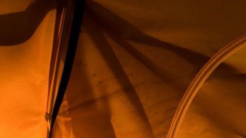 Bosque en Europa para acampar / Créditos: Scott Goodwill vía Unsplash