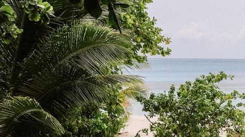 Hoteles exóticos en el mundo / Créditos: Fotógrafo Chelsea Gates vía Unsplash