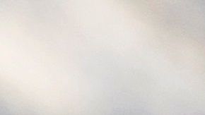 Stone está acusado de obstruir al Congreso durante la investigación sobre la injerencia rusa.