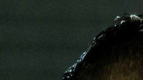 Leo Messi está claramente descontento con su equipo