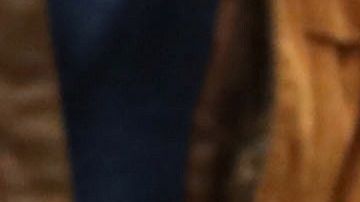 Chitetsu Watanabe recibiendo su Récord Guinness.