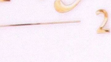 Ninel Conde.