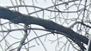 Opiniones divididas ante plan de la MTA para aliviar zonas con poco transporte