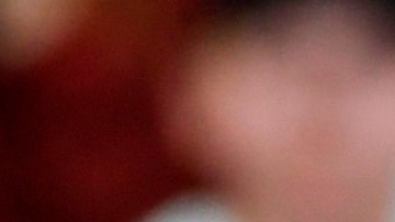 El presidente Trump ganó los 'caucuses' en Iowa.