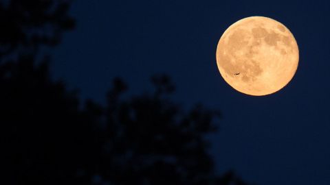 La nueva mini Luna no se ve fácilmente como nuestro conocido satélite natural.