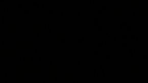 El senador Bernie Sanders, precandidato demócrata a la Presidencia.