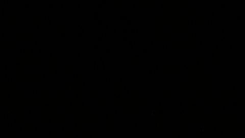 El senador Bernie Sanders, precandidato demócrata a la Presidencia.