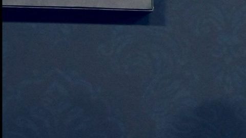 Premios Juventud reconocerá a Daddy Yankee por su lucha contra el hambre infantil.