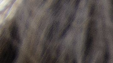 aire-llantas-shutterstock_104261408