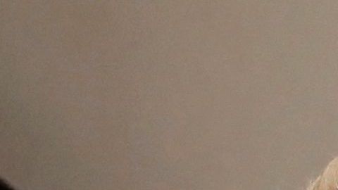 Alexa Dellanos y Myrka Dellanos