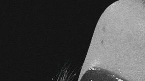 Faltan muchas cosas por descubrir sobre el orgasmo femenino.