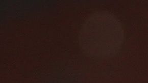 Alfredo Morelos, el 'Bufalo' estuvo involucrado en un caso curioso.