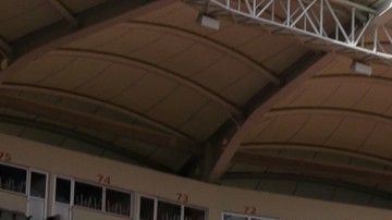 Las jugadoras profesionales se conocieron en Club americanista.