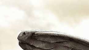 Cada signo posee un ángel protector.