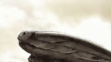 Cada signo posee un ángel protector.