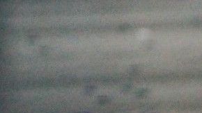 Con esta información te vas a cuestionar qué tanto aspiras bien tu alfombra.