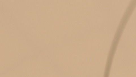 La astrología no necesita ser necesariamente científica.