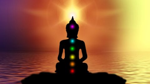 Los 7 chakras del cuerpo humano.