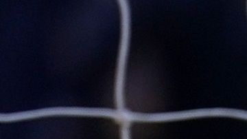 El 'Lobo Mexicano' suma 12 goles en esta campaña de la Premier League.