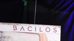 Bacilos