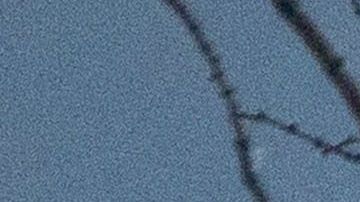 Hay 14 casos de contagios confirmados en Estados Unidos.