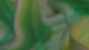 Usuarios de Facebook salvaron la fiesta de cumpleaños.