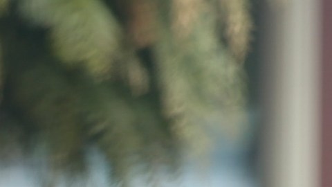 Harry en Canadá. (Foto: Grosby)