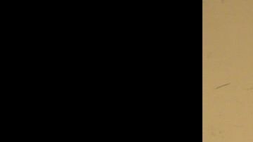 El bolso de Patti Rumfola.