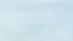 Los vecinos organizaron la campaña "Traigan a Francisco a Casa".