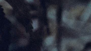 La brujería tiene como fin dañar a una persona.