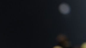 Foto: Bruno Glätsch/Pixabay