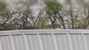 Rescate de 36 inmigrantes en Texas.