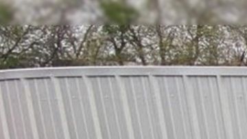 Rescate de 36 inmigrantes en Texas.