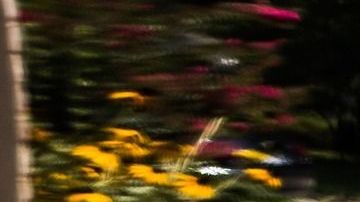 car-tire-1031579_1920